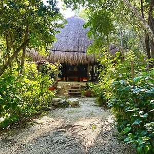  Camping Glamping Bunga Lotus Mexico